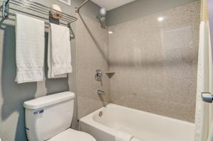 埃利杰Budget Inn Top of Ellijay的浴室设有卫生间、浴缸和毛巾。