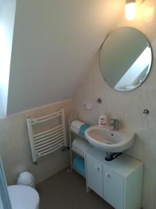 格罗森布罗德Ferienwohnung Schmetterling II的一间带水槽和镜子的浴室