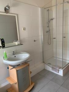 杜伊斯堡弗赖哈芬酒店的一间带水槽和淋浴的浴室