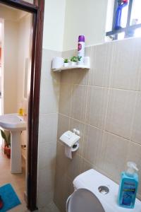 基苏木Tom Mboya Estate - Fast WI-FI, Netflix and Parking 1Br Apartment in Kisumu Town的一间带卫生间和水槽的浴室