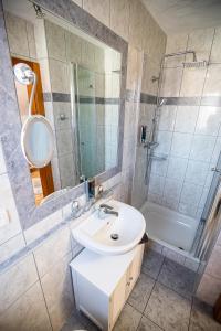 豪恩斯泰因翰恩斯特奈酒店的一间带水槽、淋浴和镜子的浴室