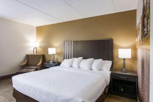 詹姆斯敦Clarion Pointe Jamestown - Falconer的一张大床,位于酒店带两盏灯的房间