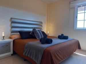 格拉纳迪利亚德亚沃纳Villa Nancy Tenerife Sur的一间卧室配有一张带两个枕头的床