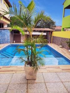 卡波布里奥Guest House Renascer K&W的游泳池旁的棕榈树