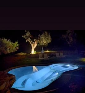 卡斯塔涅托卡尔杜奇卡罗酒店的后方有树的游泳池的一 ⁇ 夜