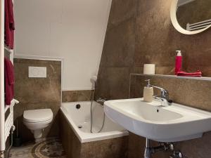 迪弗尔Villa BlauwHemel Diever的一间带水槽和卫生间的浴室