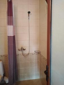 泽拉夫纳Къща за гости УЮТ с. Жеравна的浴室内配有淋浴帘。