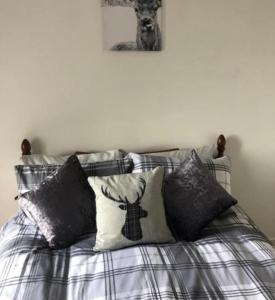 罗撒西Captivating 2-Bed Apartment in Isle of Bute的卧室内的一张带枕头的床