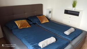 VértestolnaVértestolna Vendégház的一张带蓝色床单的床和两个枕头