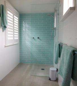 萨维特尔Boatsheds的浴室设有蓝色瓷砖淋浴。