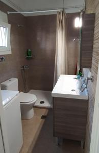 卡兰巴卡Nikos, Old Kalabaka Apartment的浴室配有白色水槽和卫生间。