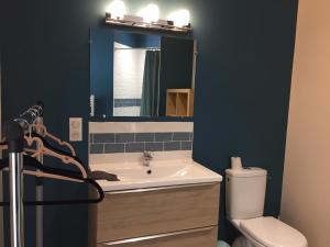 索米尔Chambre dans dépendance Maison de Ville + abri vélos的一间带水槽、卫生间和镜子的浴室