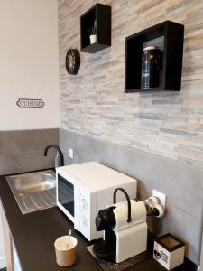 格雷西Superbe studio 15 m²,proche Disney, Asterix, CDG的厨房配有带微波炉和水槽的台面
