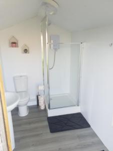 特鲁罗Garden Room的带淋浴和卫生间的浴室