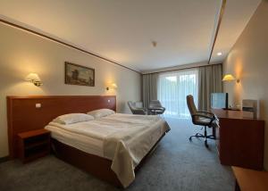 罗兹考尼大使酒店的配有一张床和一张书桌的酒店客房