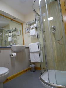布里村The Sands Hotel, Orkney的带淋浴、卫生间和盥洗盆的浴室