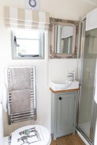 CorsleyWhitbourne farm的一间带水槽、卫生间和镜子的浴室