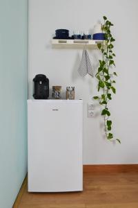 拉桑塔Habitación con baño y entrada independiente的植物厨房里的白色冰箱