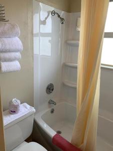里兹波特Economy Inn的浴室设有卫生间和带毛巾的淋浴。
