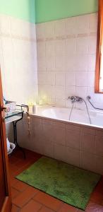 斯坎迪奇Casa Gelso的带浴缸和绿色地毯的浴室
