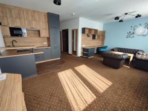 莱格尼察ApartHotel Legnica - apartamenty z aneksem kuchennym的厨房以及带沙发和桌子的客厅。