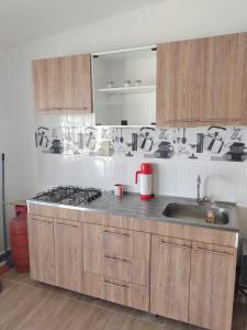 吉拉尔多特Casa Vacacional Quinta Sofia的厨房配有水槽和炉灶 顶部烤箱