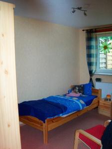 Hanerau-HademarschenFeWo Mareike的一间卧室配有一张带蓝色床单的床和一扇窗户。