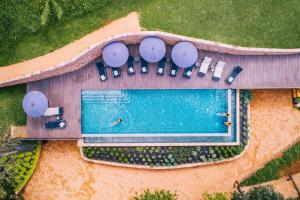 拉瓦利德维亚尼亚马斯拉法瑞瑞雅酒店的享有带椅子和遮阳伞的游泳池的上方景致