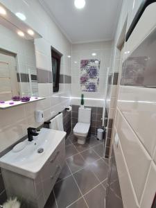 弗格拉什Splendid House的白色的浴室设有水槽和卫生间。