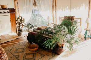 南圣胡安Dreamsea Surf Resort Nicaragua的带沙发和盆栽植物的客厅