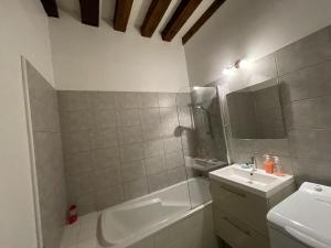 欧塞尔Appartement Le Coche d'Eau Auxerre Les Quais的浴室配有水槽、淋浴和浴缸。