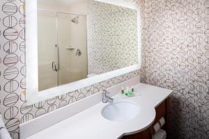 夏洛茨维尔Holiday Inn Express & Suites Charlottesville, an IHG Hotel的一间带水槽和镜子的浴室