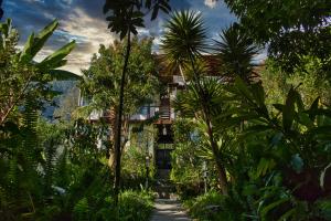 圣佩德罗拉拉古纳Casa Lobo Bungalows的棕榈树度假村和背景建筑