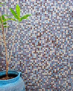 卢纳将军城里亚德马萨亚宾馆的蓝盆中的植物,在墙上
