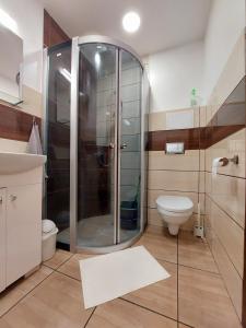 古尔贝内M14 Apartment的带淋浴和卫生间的浴室