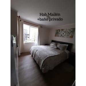 巴拉斯港habitac privada Bed n Bkf Patagonia Norte - Puerto Varas Homestay - BnB Plus的一间卧室设有一张床和一个窗口