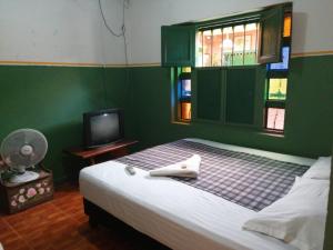 Santander de QuilichaoHosteria los Cristales的一间卧室设有一张带绿色墙壁和窗户的床。