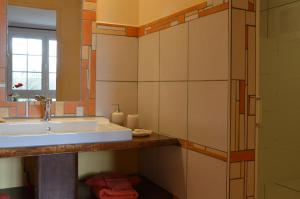 BioncourtLe Clos des Pommes的一间带水槽和镜子的浴室
