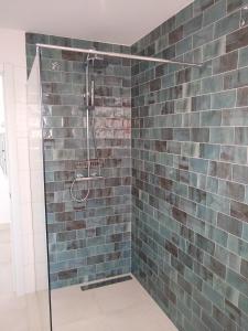 福恩吉罗拉Maestro Concepcion Guidet的浴室设有蓝色瓷砖淋浴。