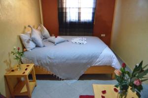 索维拉Riad Essaouira的一间卧室配有一张床,上面放着两只猫