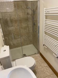 布里斯托比奇伍德公寓的一间带卫生间和玻璃淋浴间的浴室