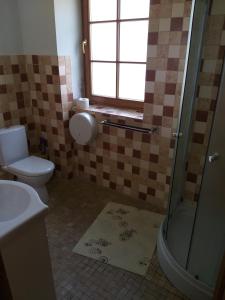 CesvaineBrīvdienu māja Dukāti的浴室配有卫生间、淋浴和盥洗盆。