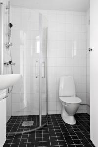 Sankt AnnaSkärgårdsbyn Hotell的浴室配有卫生间、淋浴和盥洗盆。