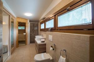 福纽德Stay with Gamauf的浴室配有卫生间、盥洗盆和淋浴。