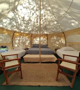 伊斯拉德迈波Glamping Remanso del Espíritu的一间帐篷内的卧室,配有两张床和两把椅子