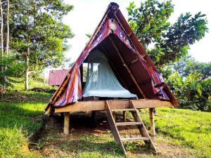 PepinoKindiwayra Ecohostal的草上带梯子的小帐篷