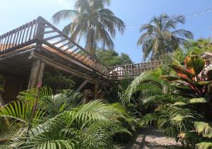 帕洛米诺Glamping Due Amici的热带花园,设有棕榈树木房子