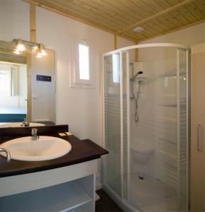 Sainte-Eulalie-dʼOltVillage de Gite - La Cascade的一间带玻璃淋浴和水槽的浴室
