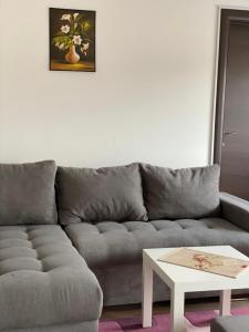 克拉古耶瓦茨Dom apartmani的客厅配有灰色的沙发和白色的桌子
