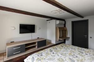 切尔诺夫策Apart Hotel Fusion的卧室配有一张床,墙上配有电视。